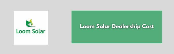 Loom Solar Dealership Cost
